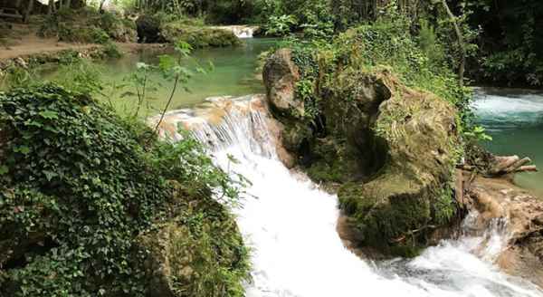 Balıklarla yüzmek ister misiniz?