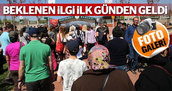 Beklenen ilgi ilk günden geldi