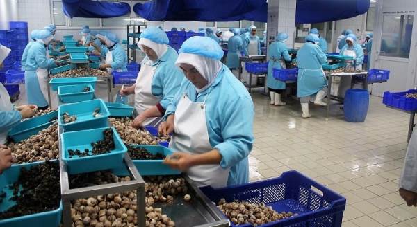 Bilecik’ten Fransa’ya 5 milyon dolarlık salyangoz ihracatı