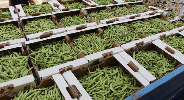 Bu fasulyenin fiyatı ağızları açık bıraktı