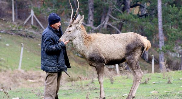 Bu kareler bugün Eskişehir'de çekildi