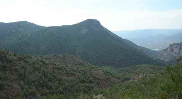 Burası Karadeniz değil Sarıcakaya