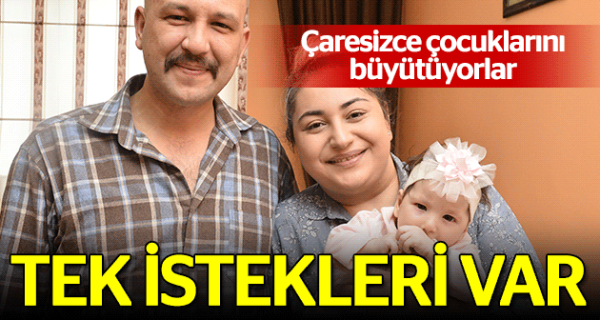 Çaresizce çocuklarını büyütüyorlar