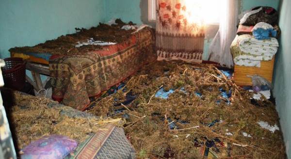 Cezaevindeki hükümlünün evinden çıktı!