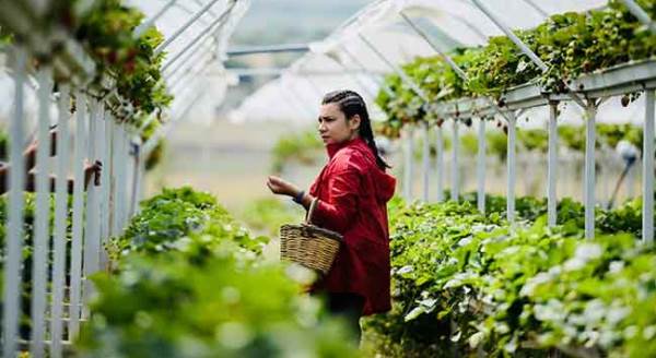 Çocukları "doğal" yesin istediler, geldikleri nokta...
