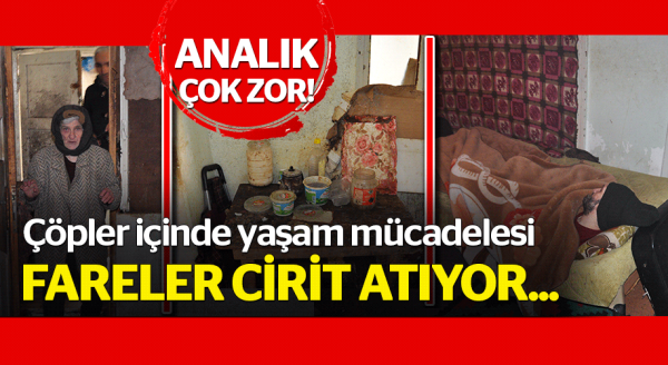 Çöpler içinde verilen yaşam mücadelesi!