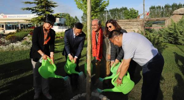 Dostluğun 10’uncu yılı anısına çınar diktiler
