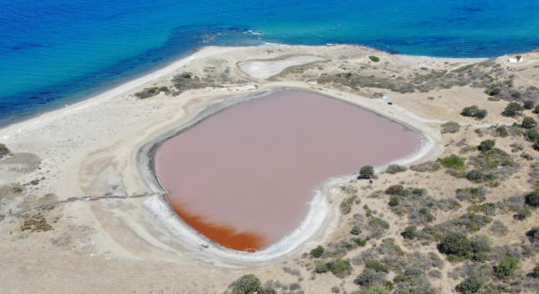 Dünya'da sadece 8 yerde var, üstelik biri...