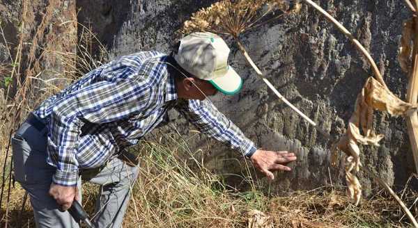 Dünyada bile ender rastlanan manzara