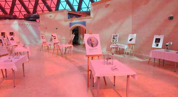 Dünyanın en küçük sergisine yoğun ilgi