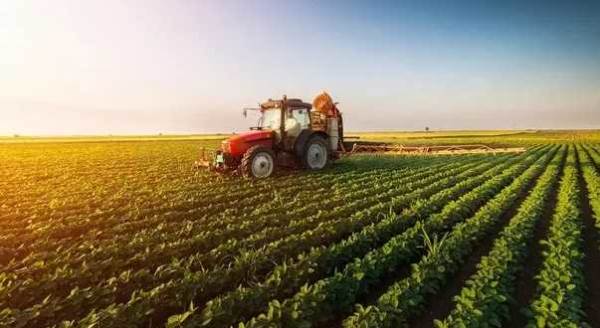 En çok tarım alanı bulunan iller açıklandı: İşte Eskişehir'in sırası...