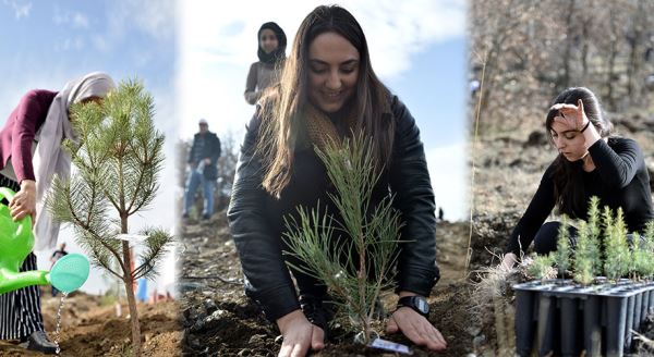 Engelliler Günü'nde 4 bin fidan diktiler