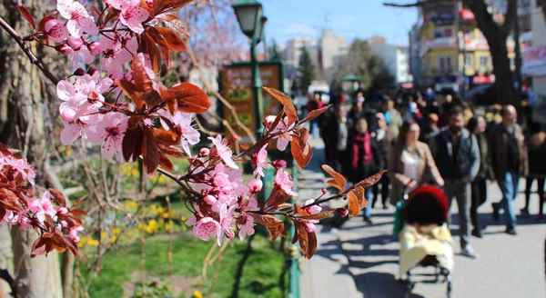 Esjkişehir'de kartpostallık bahar manzaraları