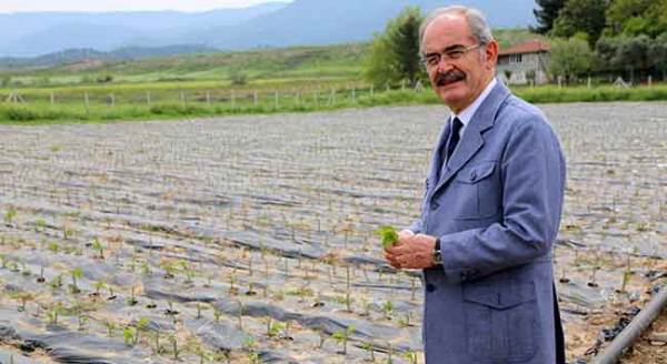 Eskişehir, ABD'de birinci oldu!