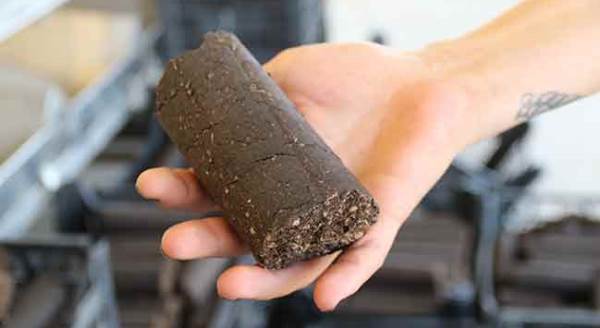 Eskişehir'de "zeytin kömürü" üretiyor!