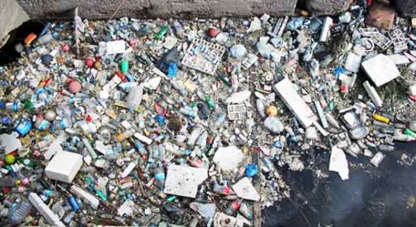 Eskişehir'de akıl almaz görüntü! Mikrop yuvası...