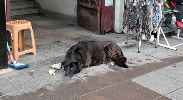 Eskişehir'de aniden bastıran soğuk onları da vurdu