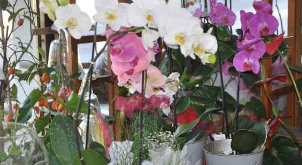 Eskişehir'de annelerin yüzünü onlar güldürecek!