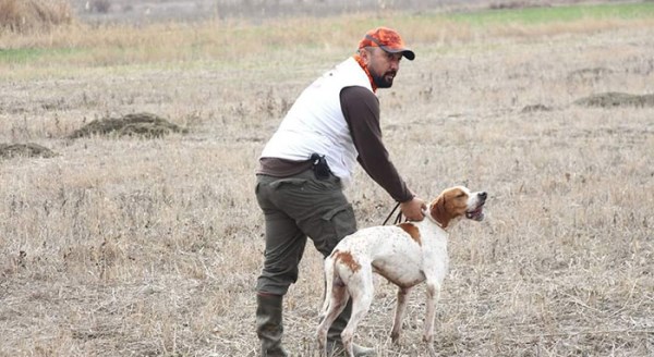 Eskişehir'de av köpekleri canlı kuşlarla yarıştı
