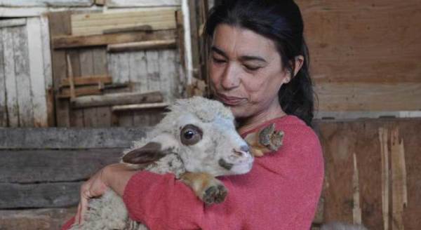 Eskişehir'de babası öldükten sonra 60'ına da sahip çıktı
