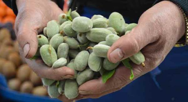 Eskişehir’de baharın müjdecisi 50 liradan tezgahta!