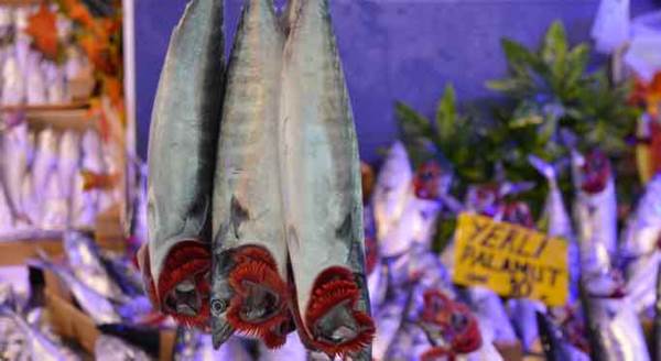 Eskişehir'de balık severlere müjde!