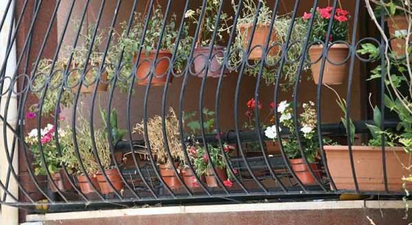 Eskişehir'de balkonlar çiçek açtı!