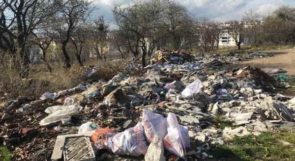 Eskişehir'de bıktıran görüntü! Pes etmiyorlar...