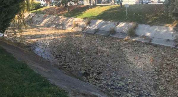 Eskişehir'de bu görüntüyü gören cep telefonuna sarıldı