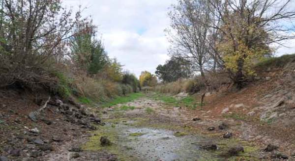 Eskişehir'de büyük tedirginlik yaratan görüntüler...