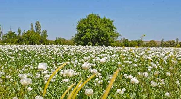 Eskişehir'de büyüleyen fotoğraflar