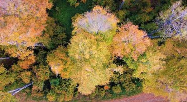 Eskişehir’de büyüleyen renk cümbüşü