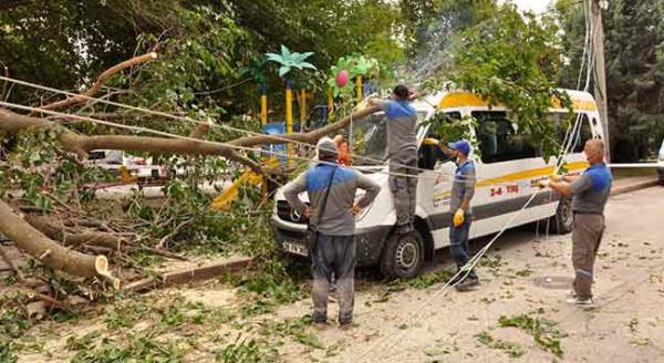 Eskişehir'de çocuk parkında ağaç devrildi!