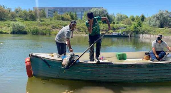Eskişehir'de dehşete düşüren vicdansızlık: Poşetin içinde ölüsü bulundu!