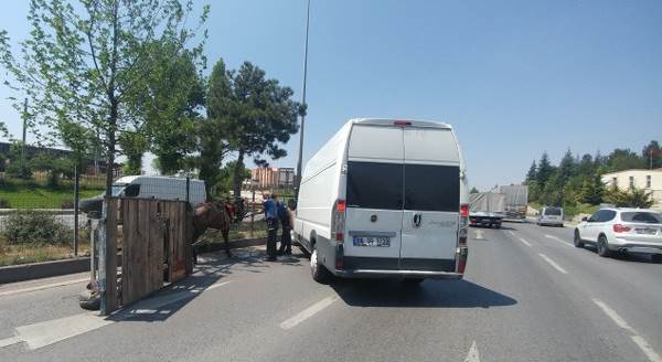 Eskişehir'de devrilen at arabası trafiği birbirine kattı