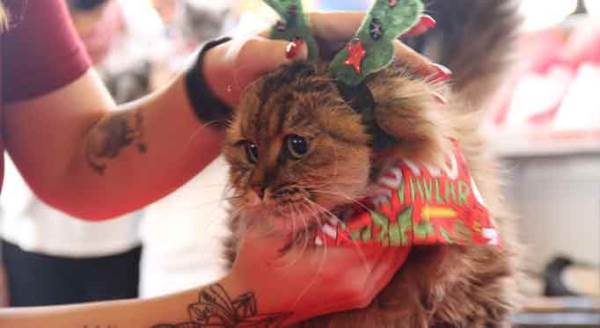 Eskişehir'de en şirin yarışma!