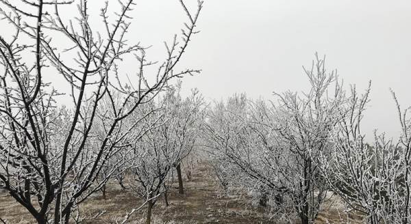Eskişehir'de eşsiz kırağı manzaraları