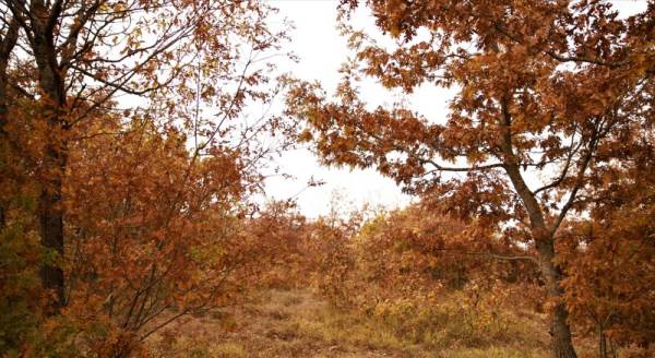 Eskişehir’de eşsiz sonbahar manzaraları