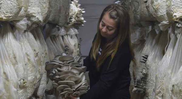 Eskişehir'de evde oturmak yerine bunu yaptı, şimdi yok satıyor!