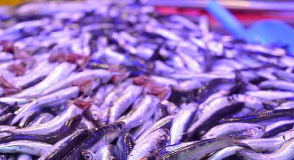 Eskişehir'de fiyatlar uçtu!