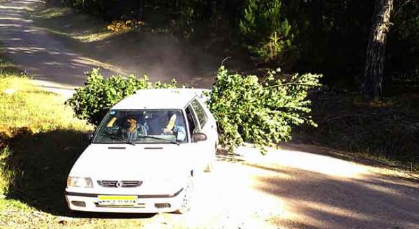 Eskişehir'de foto kapana öyle görüntüler takıldı ki