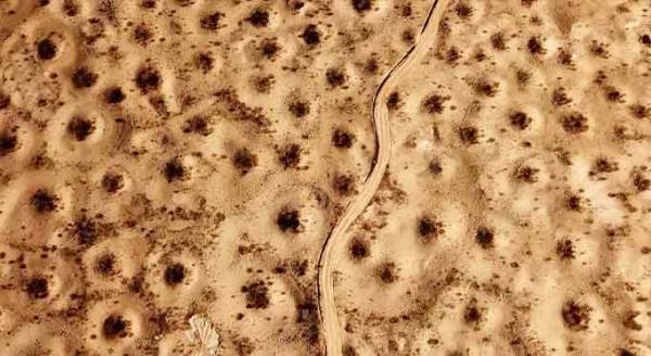 Eskişehir'de hayatları onun peşinde geçiyor!