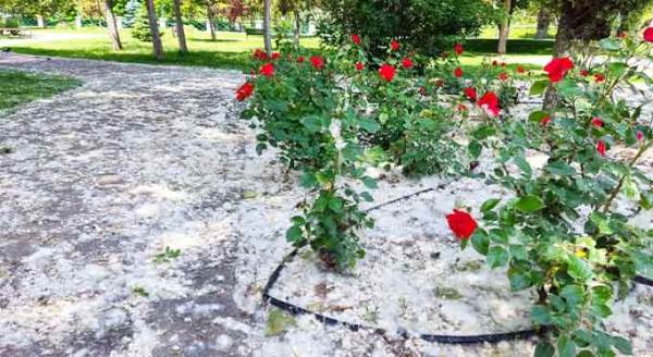 Eskişehir'de hayrete düşüren manzara: Beyaza büründü!