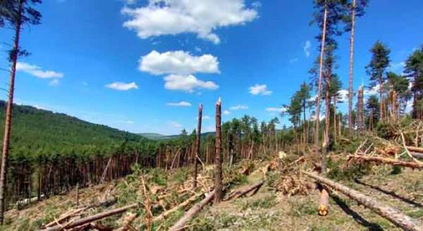 Eskişehir'de hortumun bıraktığı korkunç hasar!