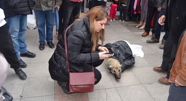 Eskişehir'de insanlık ölmemiş dedirten görüntü!