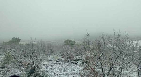 Eskişehir'de kar yağışı başladı, işte fotoğraflar