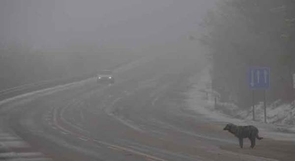 Eskişehir'de kar yağışının ardından şimdi de sis...