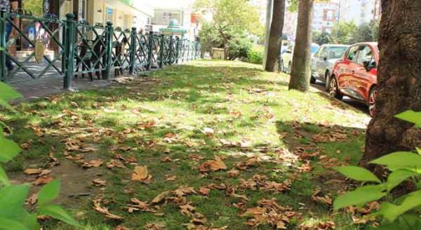 Eskişehir'de kartpostallık görüntüler... İlk yapraklar...