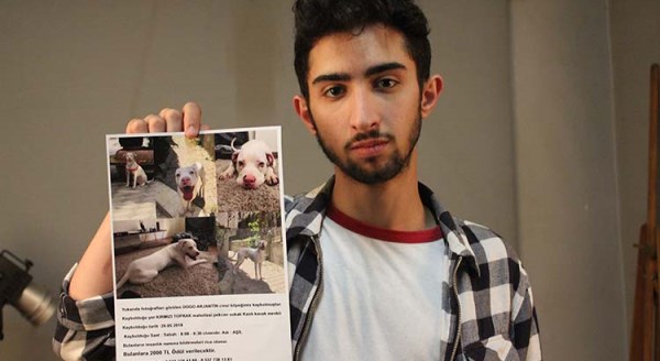 Eskişehir'de kaybolan köpeğini arıyor