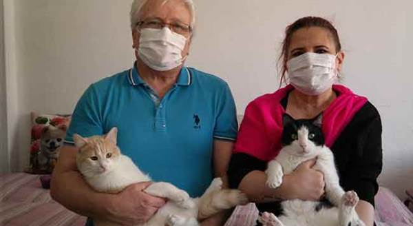 Eskişehir'de kediler için bunu yaptı!